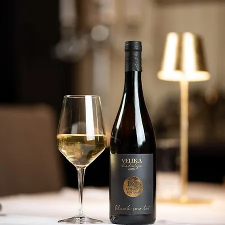 住宿加早餐酒店 Luxury Skadarlija 4*