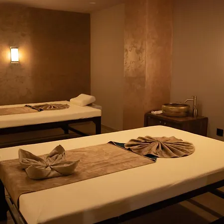 住宿加早餐酒店 Luxury Skadarlija