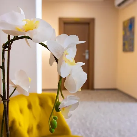 Luxury Skadarlija 住宿加早餐酒店