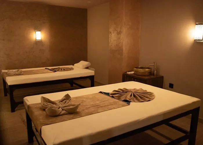 住宿加早餐酒店 Luxury Skadarlija