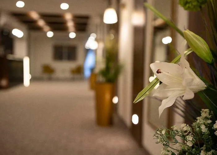 Luxury Skadarlija 4* 贝尔格莱德